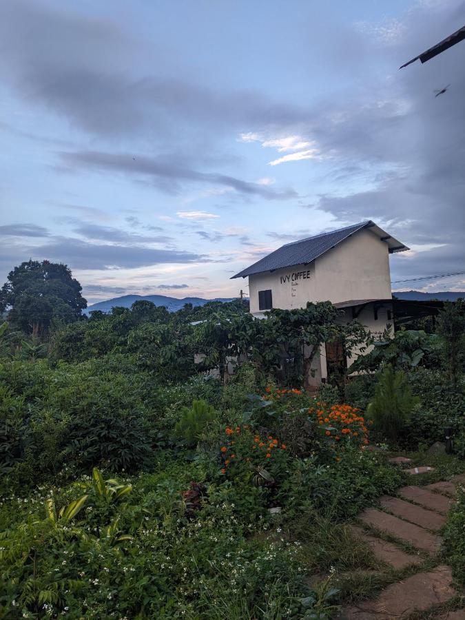 Апартаменти Ivy Coffee Farm - Garden House Duc Trong Екстер'єр фото