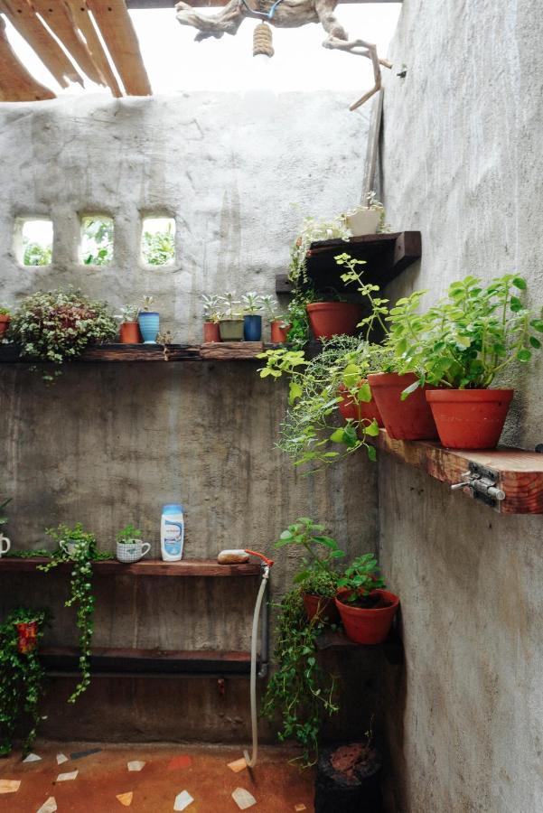 Апартаменти Ivy Coffee Farm - Garden House Duc Trong Екстер'єр фото