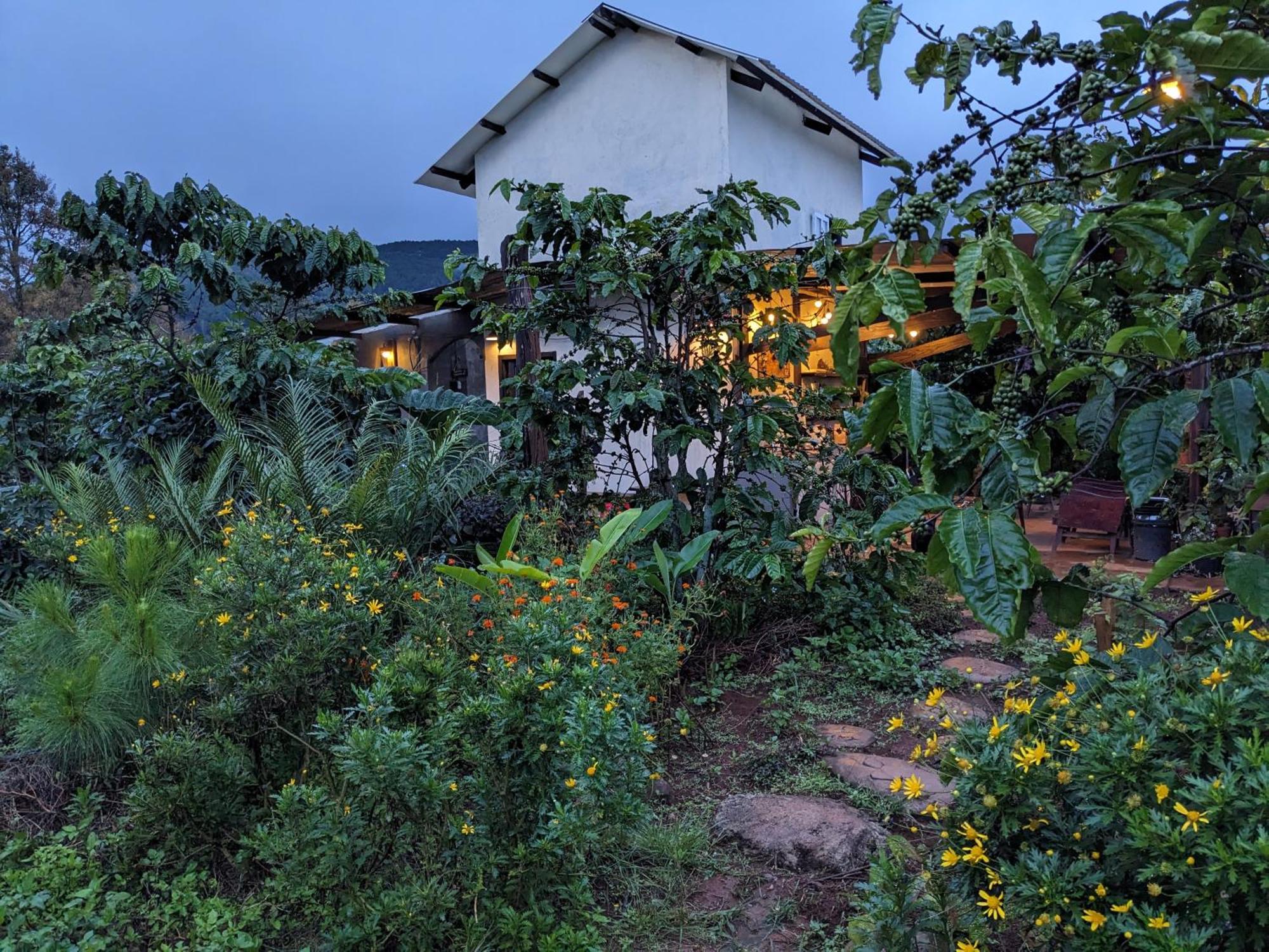 Апартаменти Ivy Coffee Farm - Garden House Duc Trong Екстер'єр фото