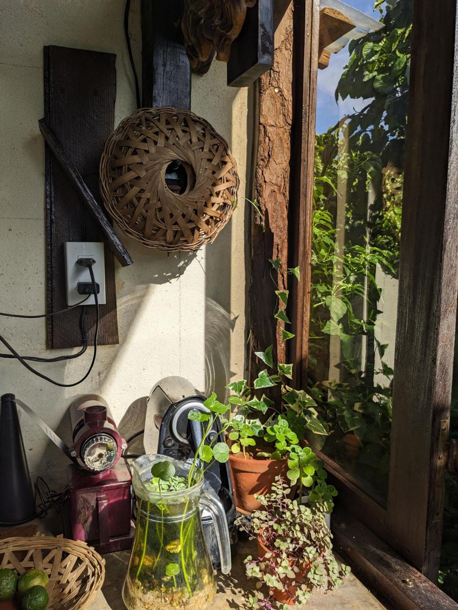 Апартаменти Ivy Coffee Farm - Garden House Duc Trong Екстер'єр фото