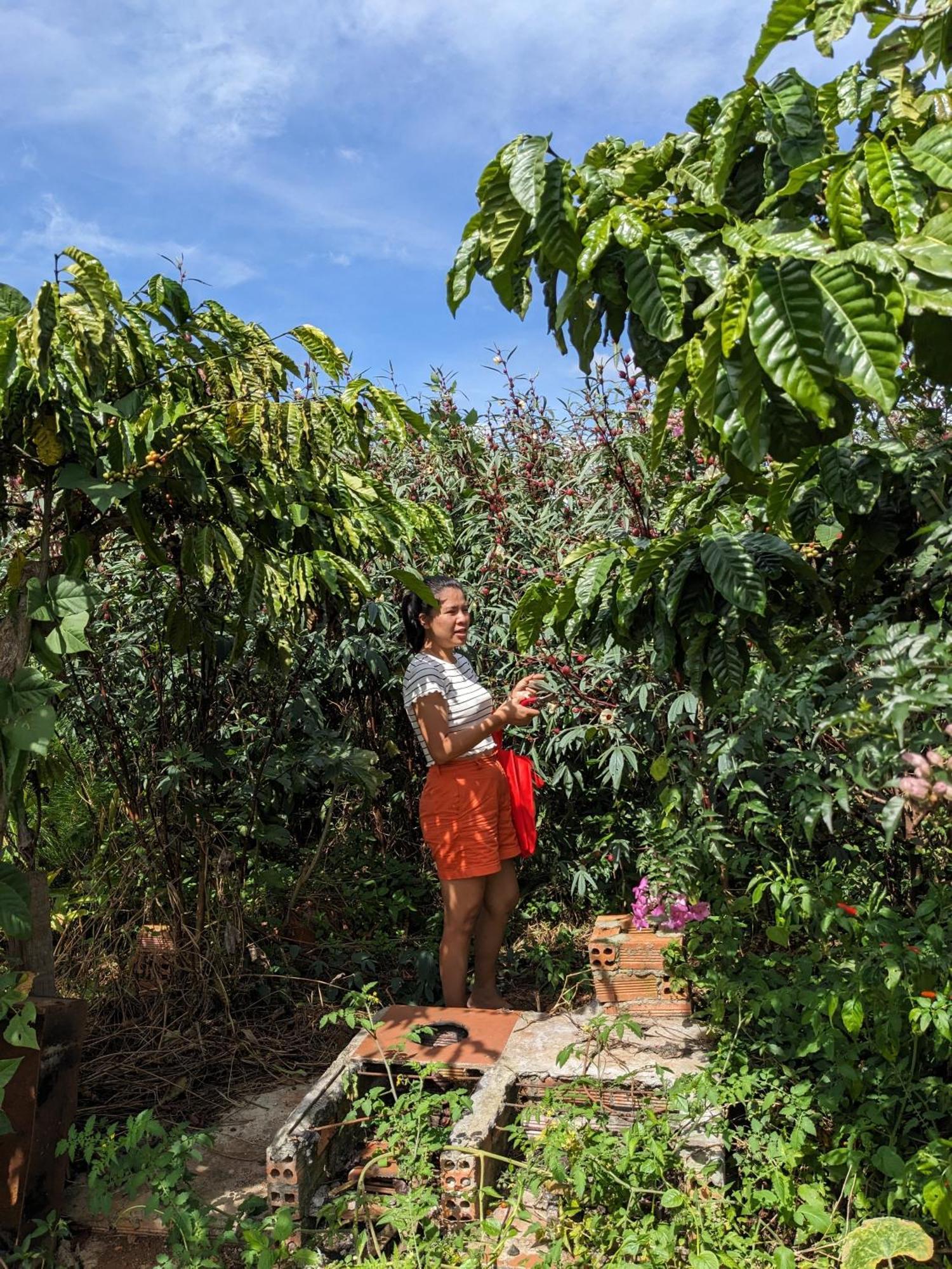 Апартаменти Ivy Coffee Farm - Garden House Duc Trong Екстер'єр фото