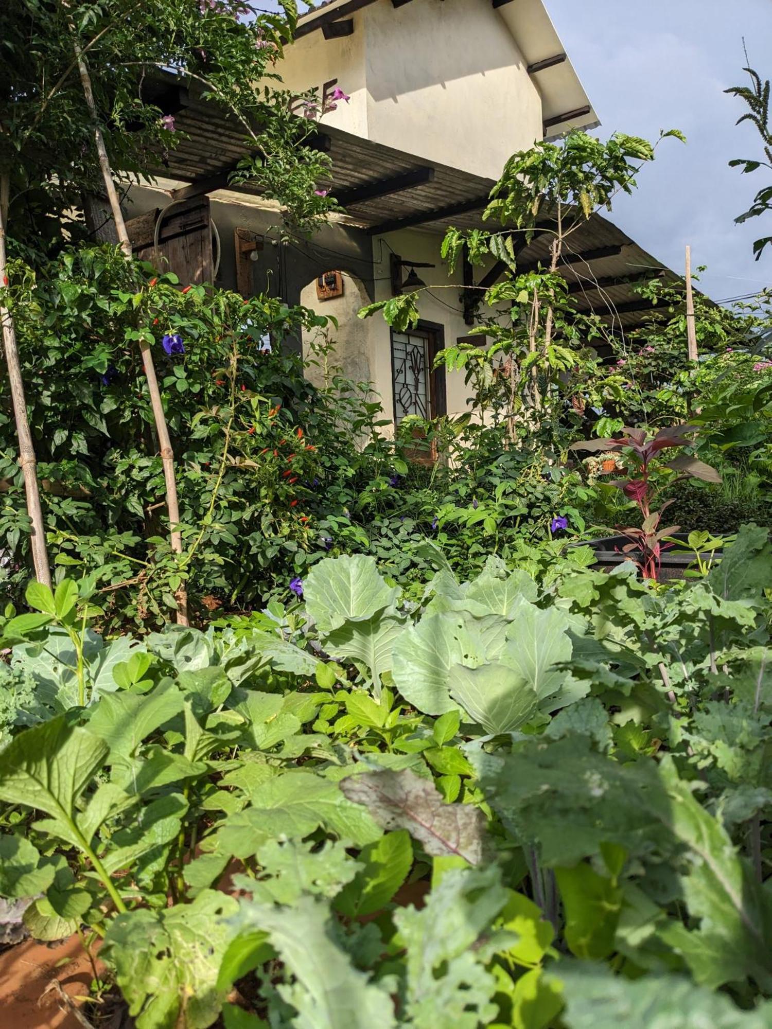 Апартаменти Ivy Coffee Farm - Garden House Duc Trong Екстер'єр фото